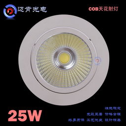 cob射燈 供應商業(yè)照明下照式led燈具 工程款25wled